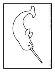 52